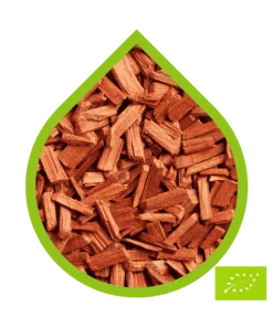 Sándalo Africano Ecológico (Brachylaena huillensis)