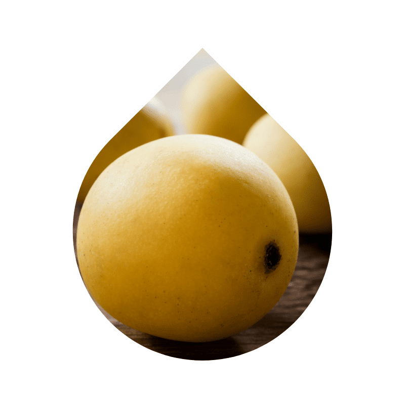 Aceites Vegetales Convencionales