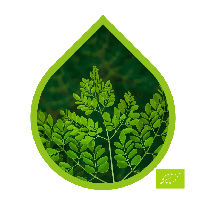 Aceites Vegetales Ecológicos